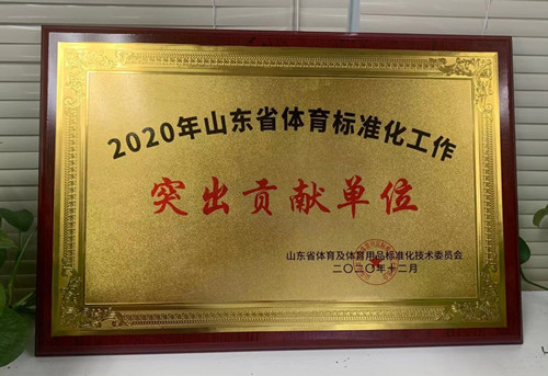 恭喜乐盈VI荣获山东省体育及体育用品标准化技术委员会授予“突出贡献单位”荣誉称号