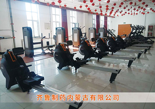 乐盈VI为​齐鲁制药内蒙古分公司打造健身房